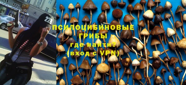 Альфа ПВП Алзамай