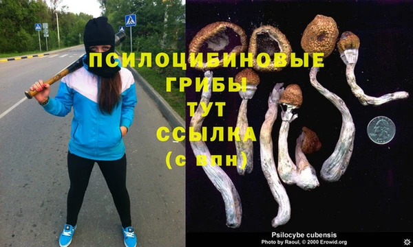 СК Алексеевка