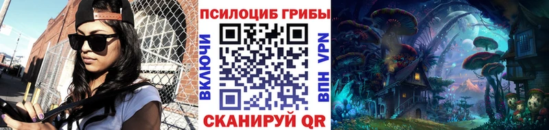 omg онион  хочу   Кизел  Галлюциногенные грибы Cubensis 